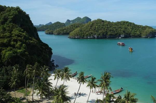 rajská pláž thajské palmy - khao lak - stock snímky, obrázky a fotky
