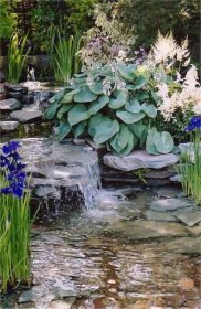 Rady a inspirace po zahradní jezírko nebo vodopád - Prima Inspirace