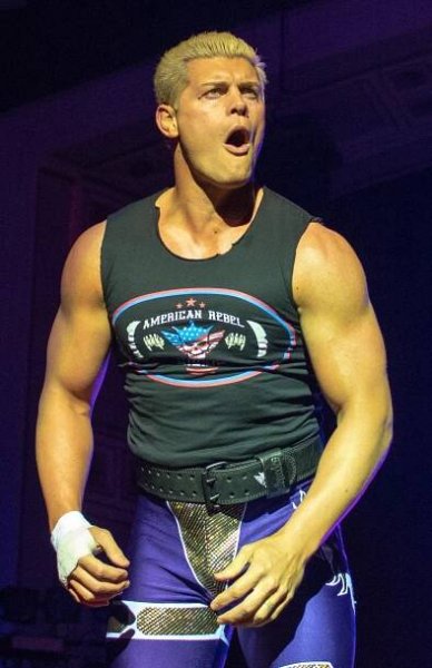 List of Wrestling Observer Newsletter awards - Wikipedia