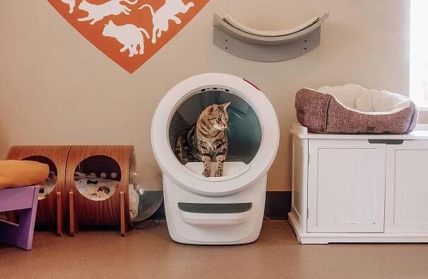 Litter-Robot 4 Best Friends® Bundle