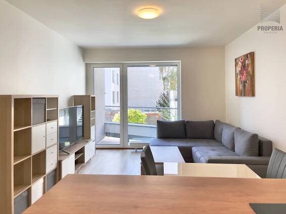 Pronájem bytu 2+KK 55 m 2  - ul. Rumiště, Brno-střed - náhled 8