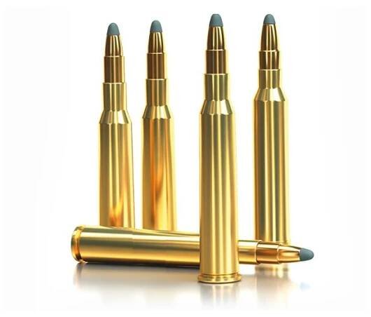 8x57JS SPCE 12,7g (196grs) - HUNTING LIFE