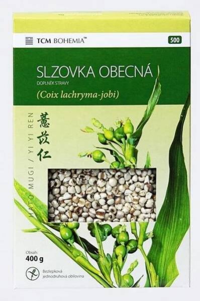 SLZOVKA OBECNÁ - YI YI REN