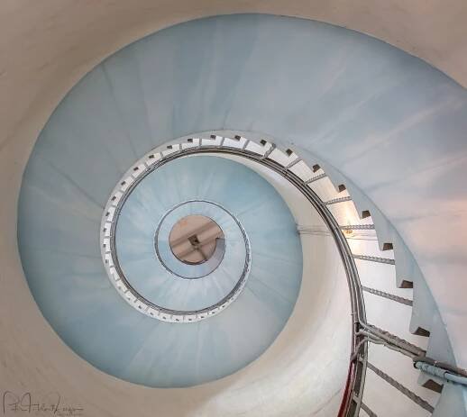 Peter Helmut Larsen Photography – Natur, fugle, dyr, street 