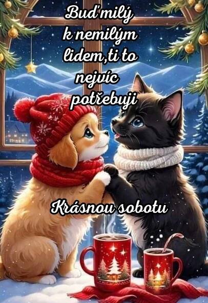 two cats sitting next to each other on top of a snow covered ground with christmas decorations