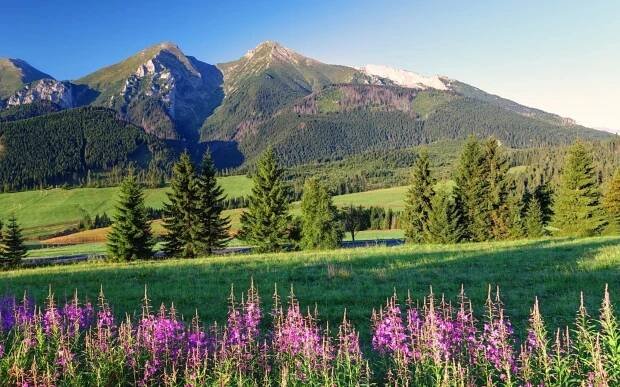 Belianské Tatry: Ždiar ve Winter & Summer Resortu *** s polopenzí, privátní vířivkou a dětským koutkem