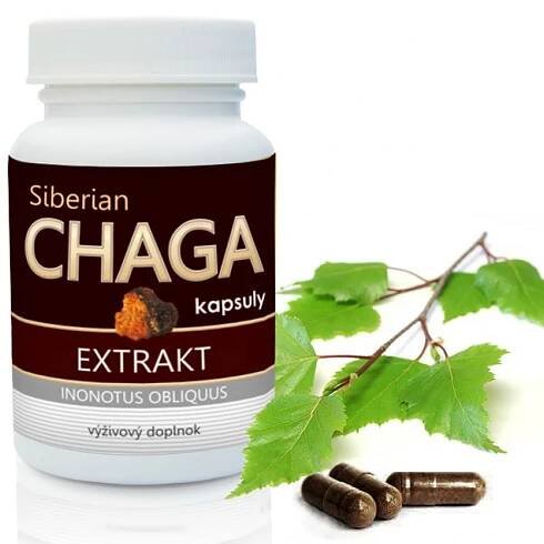Chaga sibiřská,extrakt,60 kapslí,