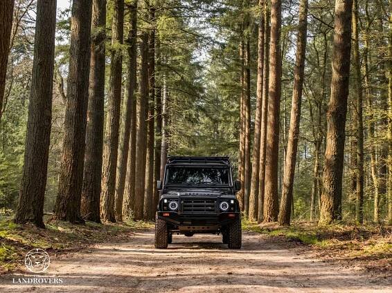 Stag - The Landrovers