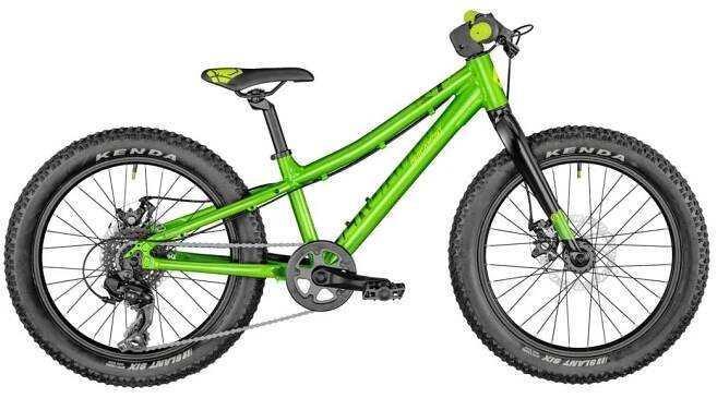 Bergamont Bergamonster 20 Plus | Endorphin Republic