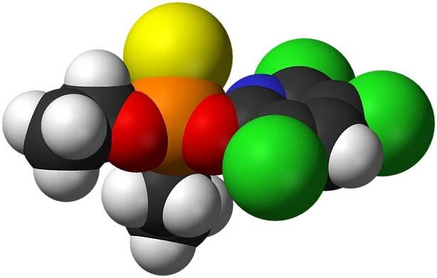 Aplikace Chlorpyrifos, toxicita a účinky / Biologie