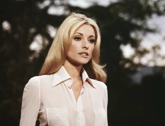 Tragický osud Sharon Tate: Její hvězda pohasla příliš brzy, obětí brutální vraždy se možná stala omylem