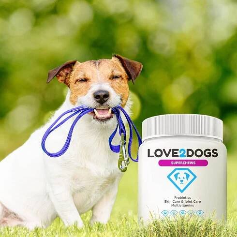 Probiotické žvýkačky proti svědění Love2Dogs SuperChews - Nejlepší probiotika