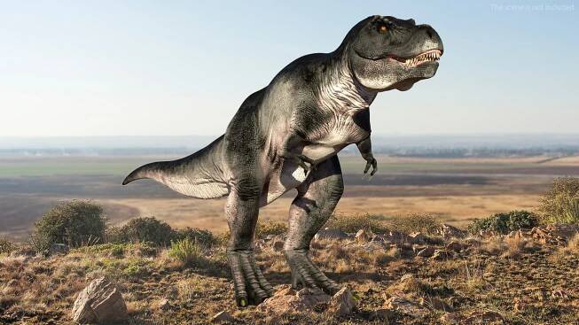 Rigged T Rex Roaring Animated Collection for Maya 3D https://p.turbosquid.com/ts-thumb/bl/TvJKUB/Ur/riggedtrexroaringanimatedcollection3dmodel002/jpg/1693053675/1920x1080/fit_q87/c0570bdf9abb483e349063392db93623630017fb/riggedtrexroaringanimatedcollection3dmodel002.jpg