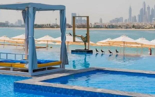C Central Resort The Palm, Dubaj