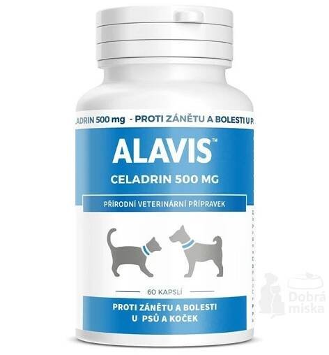 Alavis Celadrin pro psy a kočky 60cps 500mg | Dobrá miska