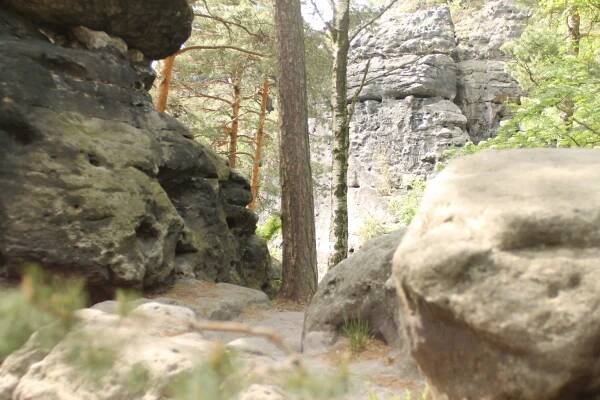 Wanderung zum Papststein | Urlaub im Elbsandsteingebirge