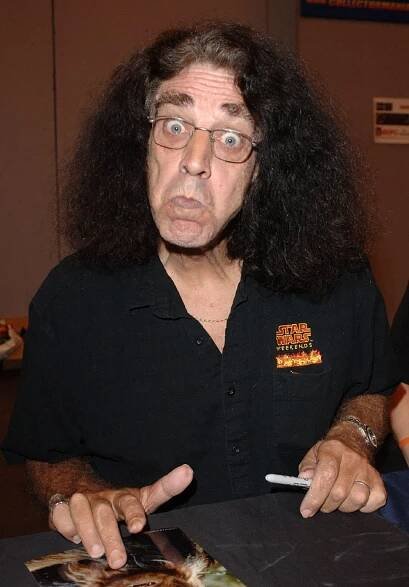 Zemřel představitel Chewbaccy Peter Mayhew