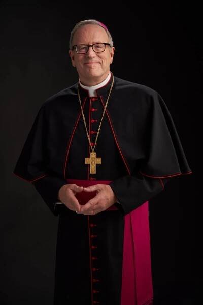 bishop barron
