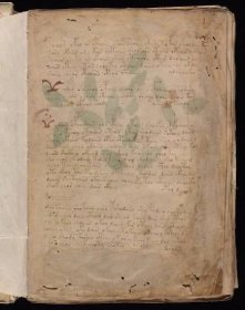 Voynichův rukopis aneb detektivka trvající čtyři století – Dóvova apotheka