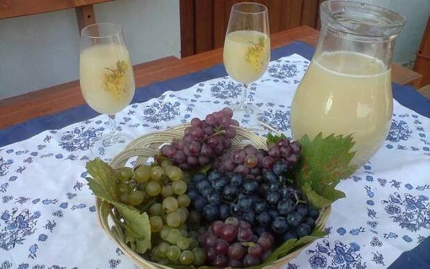 Vinobraní