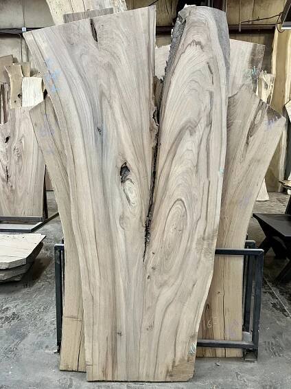 Elm (Copy)