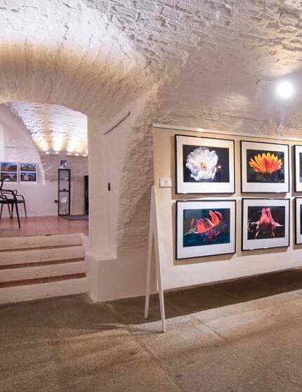 Galerie M - Milevsko