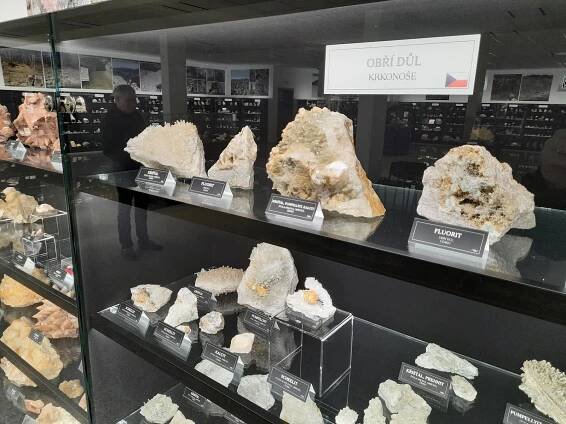 Lepší než Národní muzeum. Návštěvníci obdivují brazilské ametysty i zub mamuta