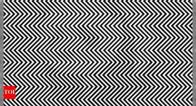Optical Illusion: Only those with a hawk's eye and super observation skills can spot the hidden animal in this zigzag puzzle