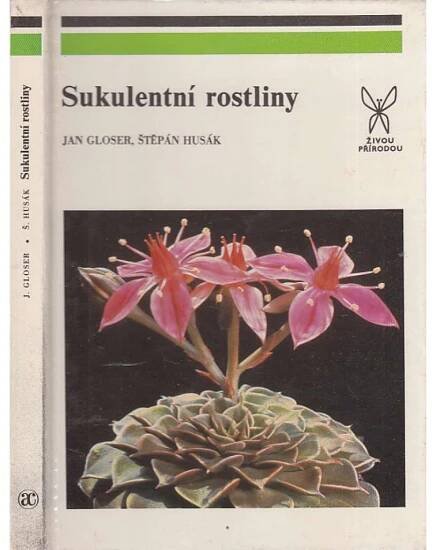 Sukulentní rostliny (kaktusy, sukulenty)