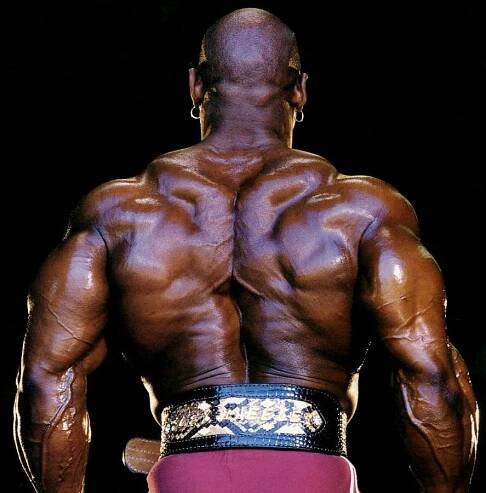 Ronnie.cz - Flex Wheeler - korunní princ