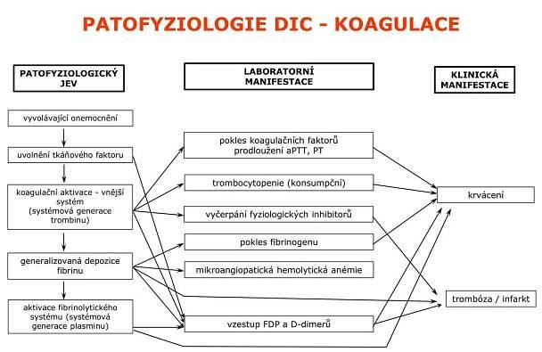 PPT - DISEMINOVANÁ INTRAVASKULÁRNÍ KOAGULACE PowerPoint Presentation - ID:5611616