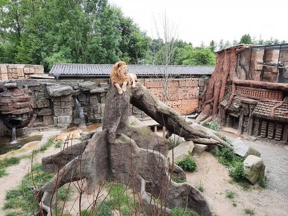 Zoo Plasy | Cloud
