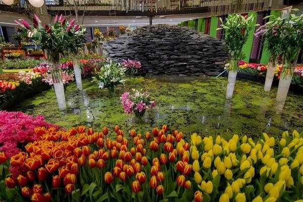 Výstaviště Flora Olomouc foto 2