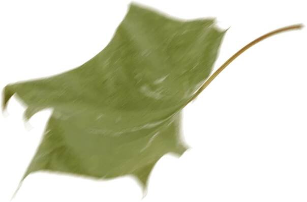 Senium Medica s.r.o.
