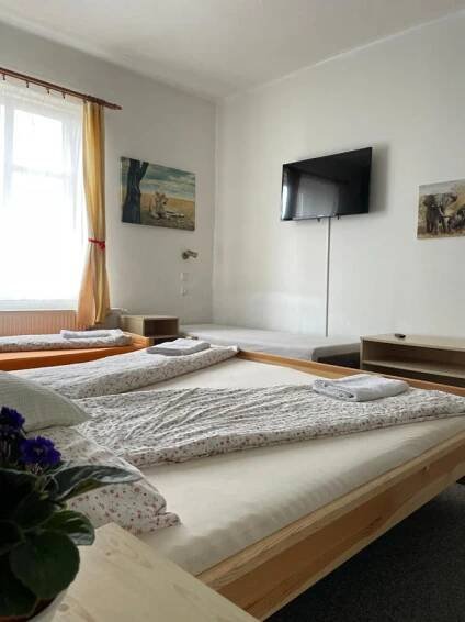 Penzion Slunečnice Dvůr Králové nad Labem Exteriér fotografie