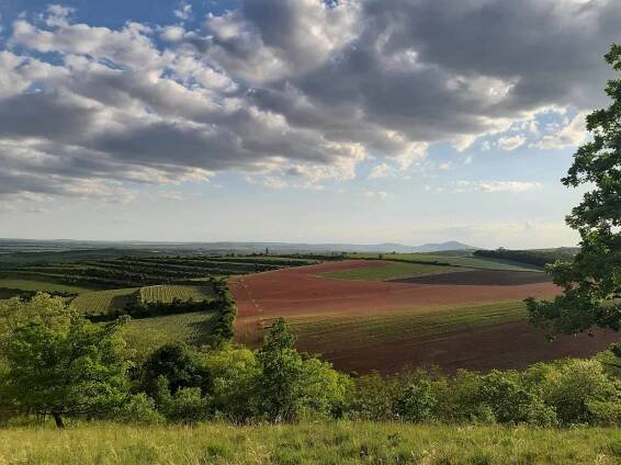 Vinařský penzion Třetí frejd, ubytování Bořetice - Jižní Morava, 1725