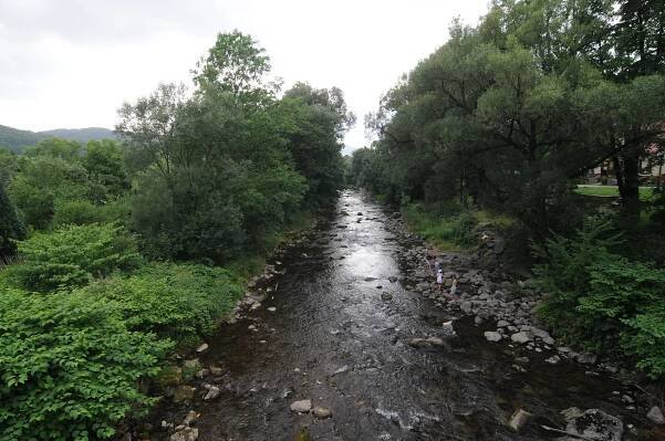Ráj dřevěných soch, už je jich tam sto. Ostravický řezbář Vančura pokračuje dál