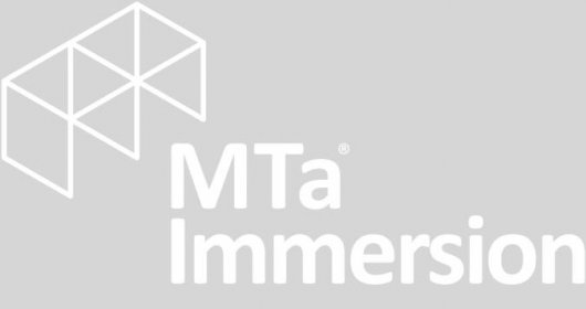 MTa Immersion online experiential learning activities