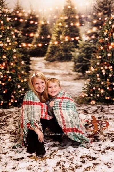 holiday mini sessions