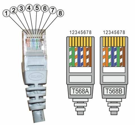 Kabel-Belegung eines RJ45 Steckers