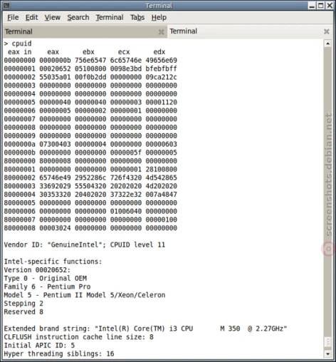 CPUID - Security and Privacy Risks‎
