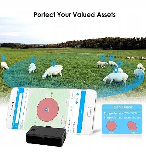 GPS lokátor platforma sledování PC Tracksolid - Allegro