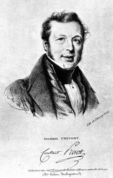 Constant Prévost - Wikipedia