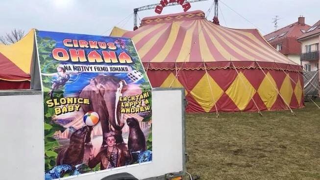 Cirkus Ohana představí slona, lachtany a hororový program