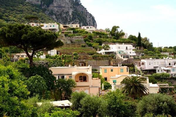 Anacapri (Isola di Capri) photo
