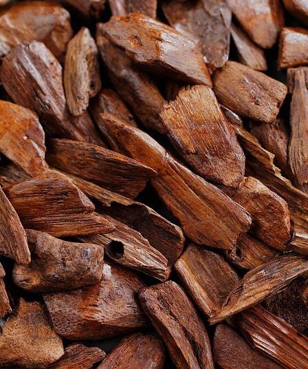 Agarwood A+ – Royal Oudh
