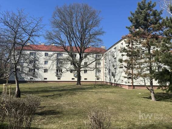 Pronájem bytu 3+1, 72 m2 - Hradec Králové