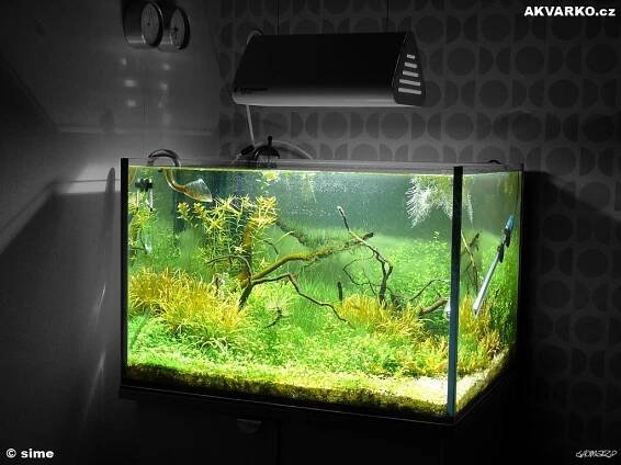 offCUBE2 - AKVARKO.cz