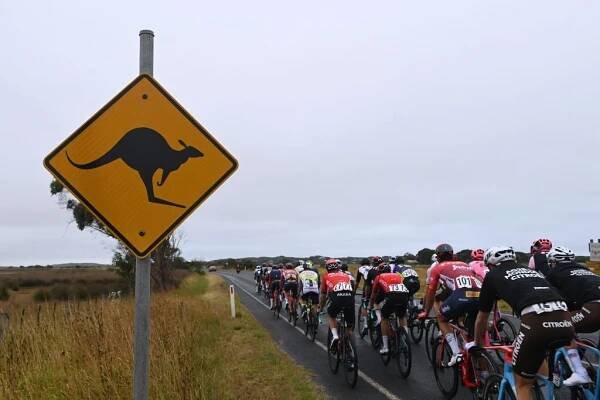 GEELONG AUSTRALIA  JANUARY 29 Detailed view of Kangaroo signal while the peloton compete during the 7th Cadel Evans Great Ocean Road Race 2023  Mens Elite a 1743km one day race from Geelong to Geelong  CadelRoadRace  on January 29 2023 in Geelong Australia Photo by Tim de WaeleGetty Images