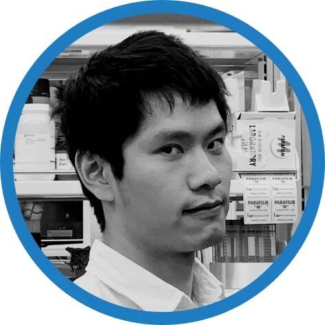 Felix Wong